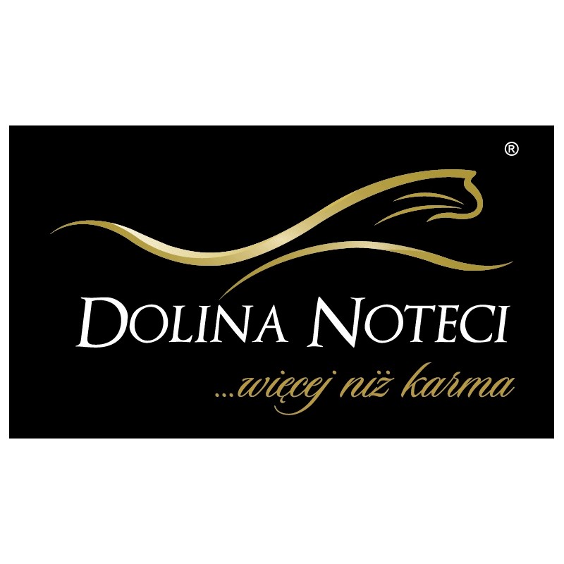 DOLINA NOTECI - RAFI CAT Z KACZKĄ 100g SASZETKA